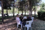 گزارش تصویری از ثبت نام دانشجویان در دانشکده شهید باهنر شیراز  21