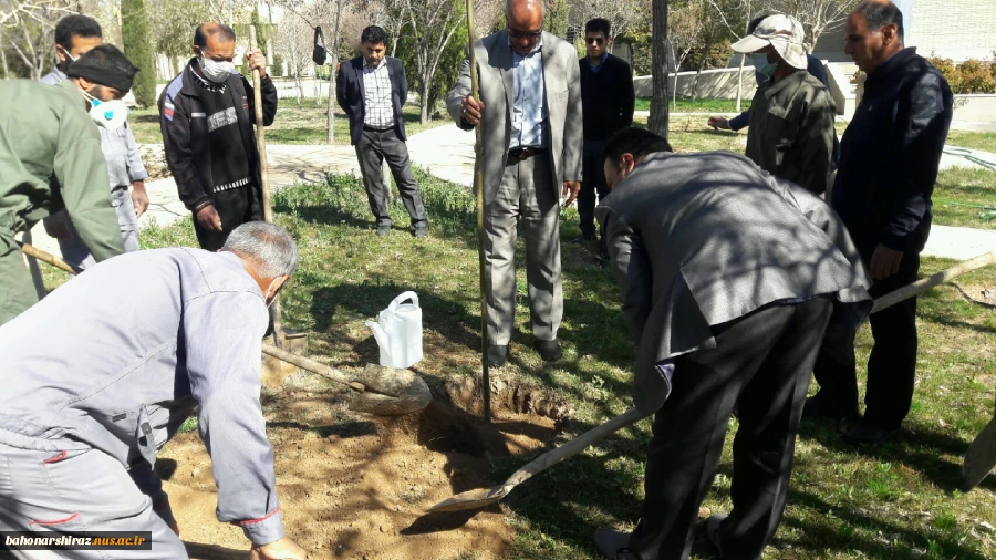 مراسم درختکاری در دانشکده فنی شهید باهنر شیراز + تصاویر  4