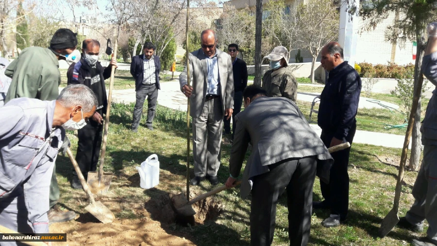 مراسم درختکاری در دانشکده فنی شهید باهنر شیراز + تصاویر  5