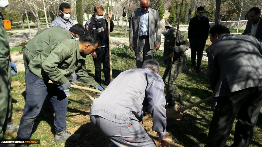 مراسم درختکاری در دانشکده فنی شهید باهنر شیراز + تصاویر  6