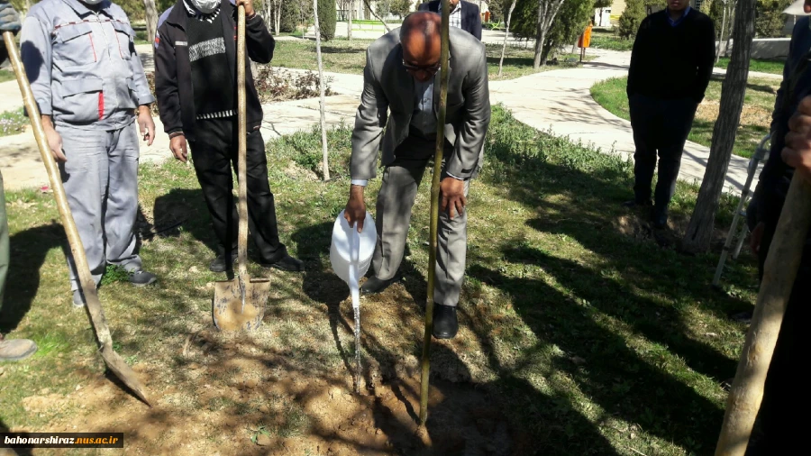 مراسم درختکاری در دانشکده فنی شهید باهنر شیراز + تصاویر  7