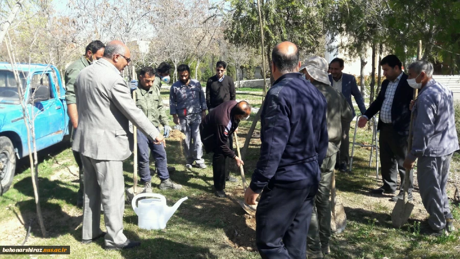 مراسم درختکاری در دانشکده فنی شهید باهنر شیراز + تصاویر  9