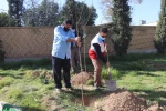 برگزاری مراسم روز درختکاری در دانشکده شهید باهنر شیراز

 5