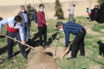 برگزاری مراسم روز درختکاری در دانشکده شهید باهنر شیراز

 4