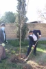 برگزاری مراسم روز درختکاری در دانشکده شهید باهنر شیراز

 7
