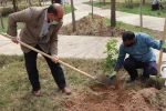 گزارش تصویری از برگزاری آئین روز درختکاری در دانشگاه فنی و حرفه ای استان فارس 4