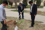 گزارش تصویری از برگزاری آئین روز درختکاری در دانشگاه فنی و حرفه ای استان فارس 5