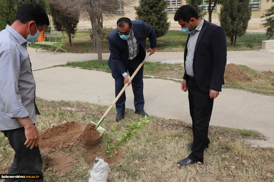 گزارش تصویری از برگزاری آئین روز درختکاری در دانشگاه فنی و حرفه ای استان فارس 5