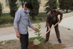 گزارش تصویری از برگزاری آئین روز درختکاری در دانشگاه فنی و حرفه ای استان فارس 6