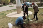 گزارش تصویری از برگزاری آئین روز درختکاری در دانشگاه فنی و حرفه ای استان فارس 9