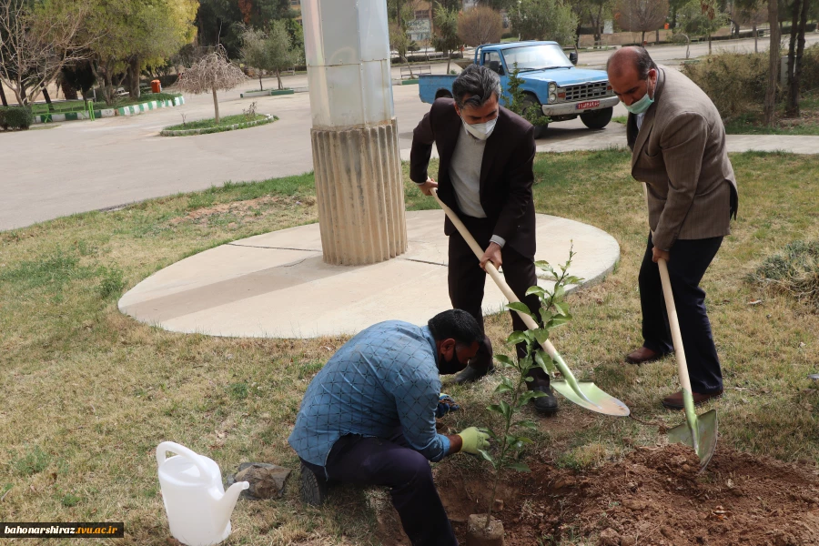 گزارش تصویری از برگزاری آئین روز درختکاری در دانشگاه فنی و حرفه ای استان فارس 9