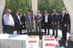 برگزاری مراسم اولین روز کاری سال  1402 در جوار قبور شهدا دانشکده فنی و حرفه ای شهید باهنر شیراز  6