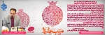 پیام تبریک دکتر محمود صادق پور سرپرست دانشگاه ملی مهارت استان فارس به مناسبت شب یلدا 2