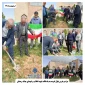 مراسم  کاشت یک اصله نهال ثمرده در دانشکده شهید باهنر شیراز به یاد قائد شهید امت و شهدای جنگ رمضان