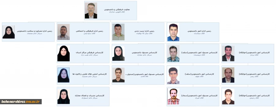 دانشجویی