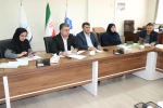 برگزاری جلسه کارگروه اجرایی دانشگاه ملی مهارت استان فارس 5
